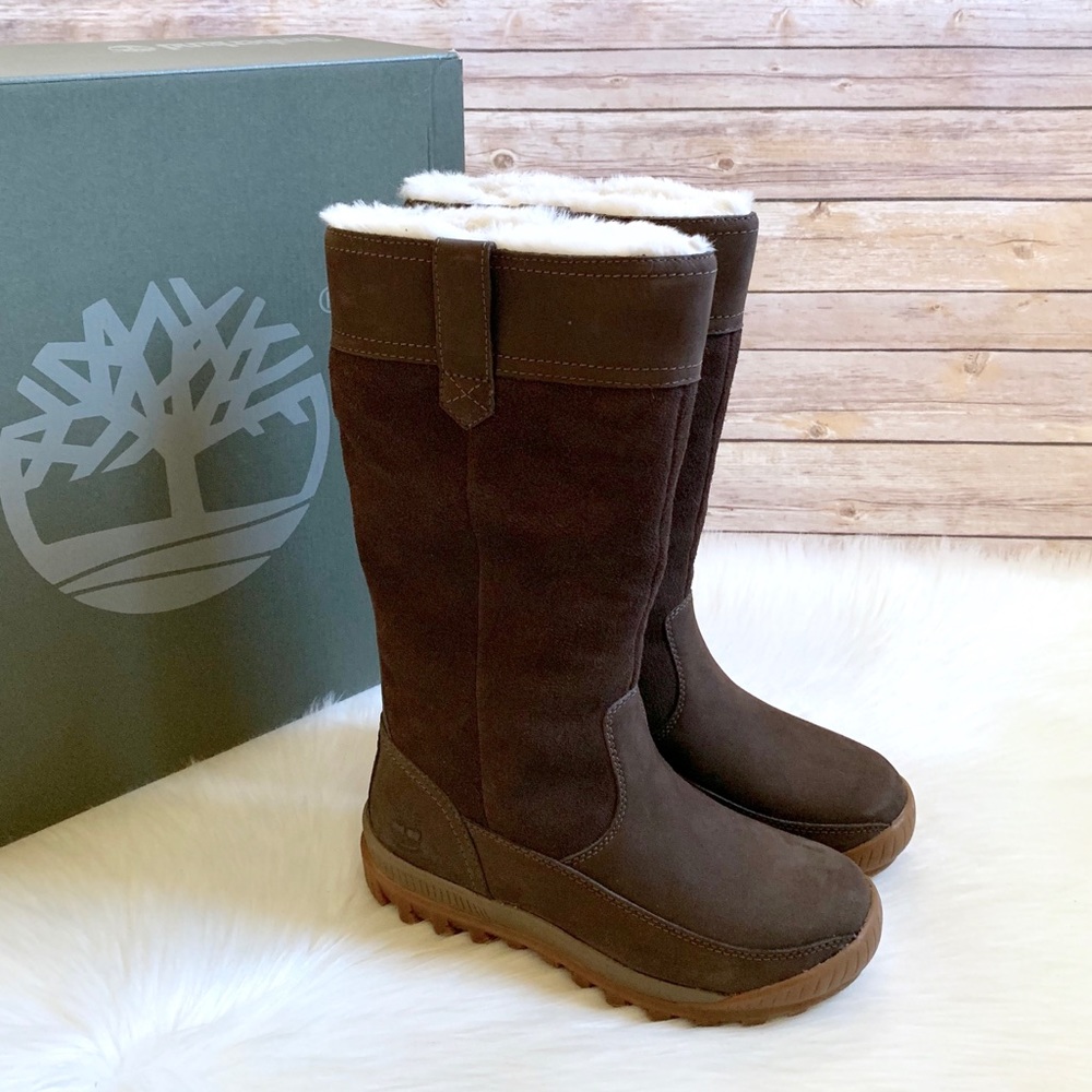 Timberland Brown MT Hayes Waterproof Pull On Boots